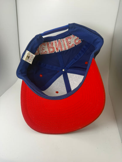 Vintage Bernie's Wrigley Field Blockhead Snapback