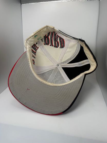 Vintage Maxicom Rain Bird Swirl Snapback