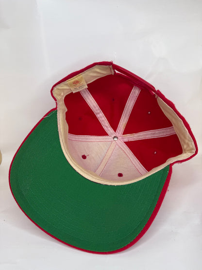 Vintage San Francisco 49ers New Era Snapback