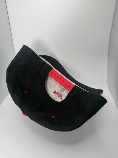 Vintage Dale Earnhardt Goodwrench Service Snapback