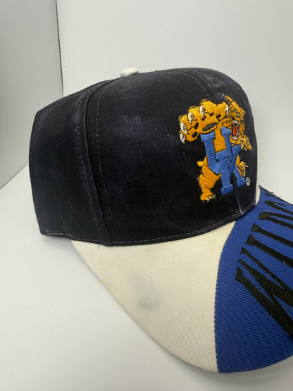 Vintage Kentucky Wildcats Top of the World Snapback