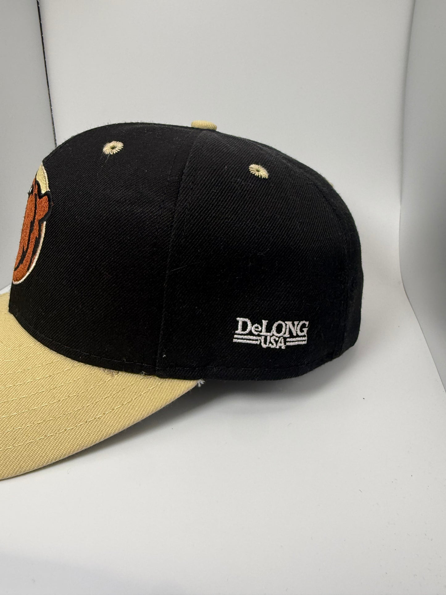 Vintage New Bern Bears MiLB Snapback