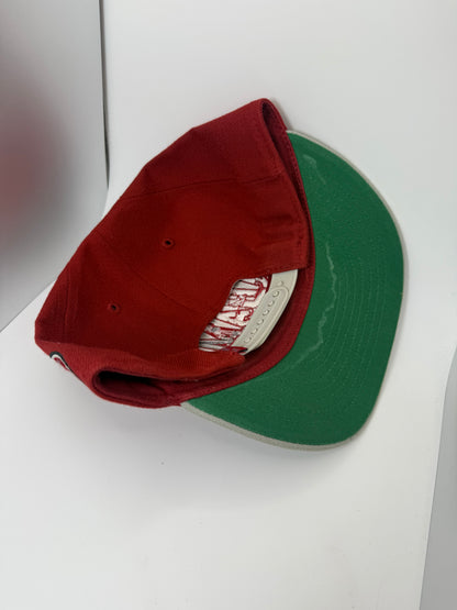 Alabama Crimson Tide Snapback