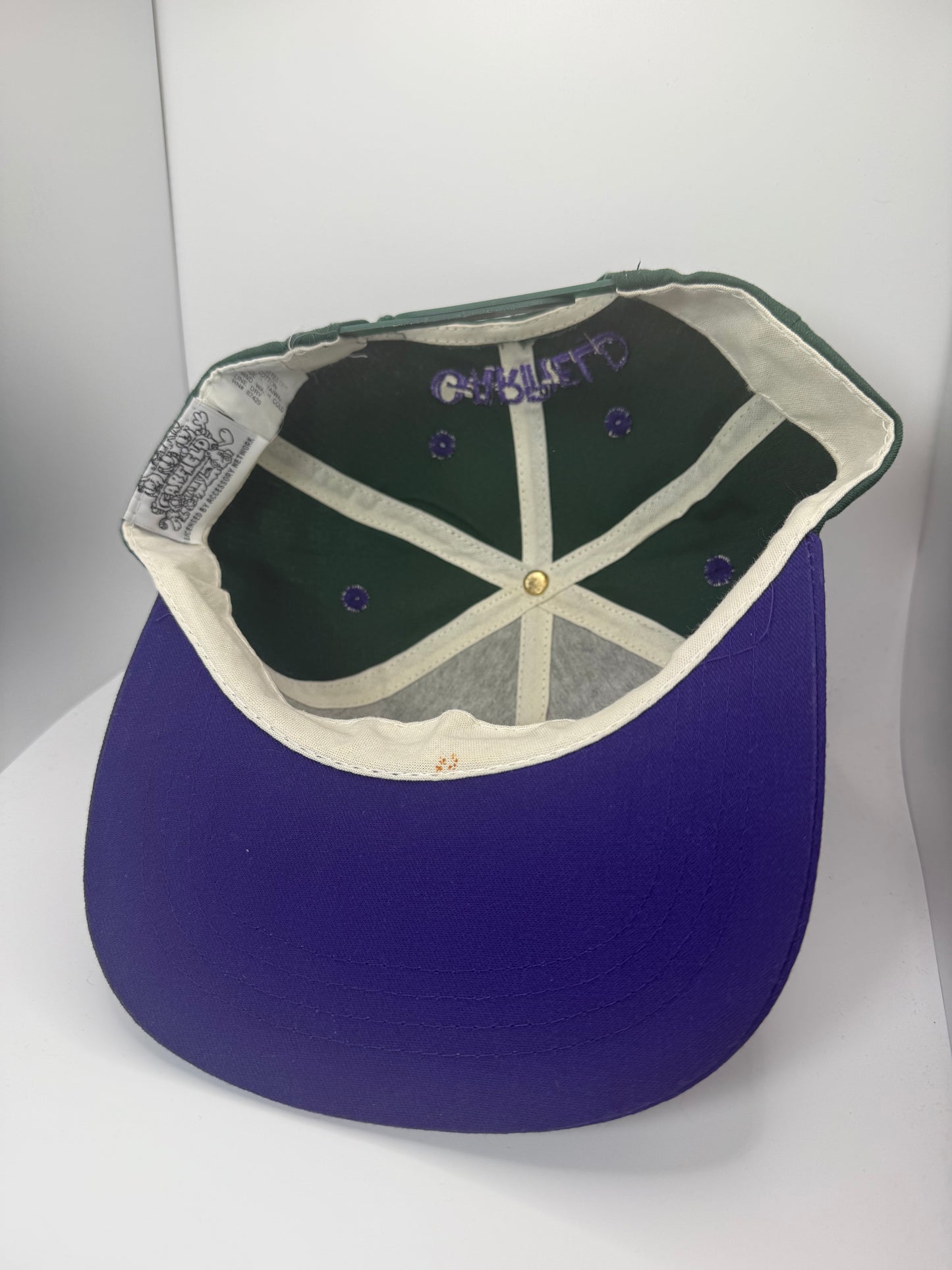 Vintage Garfield Snapback