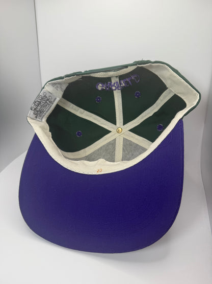 Vintage Garfield Snapback