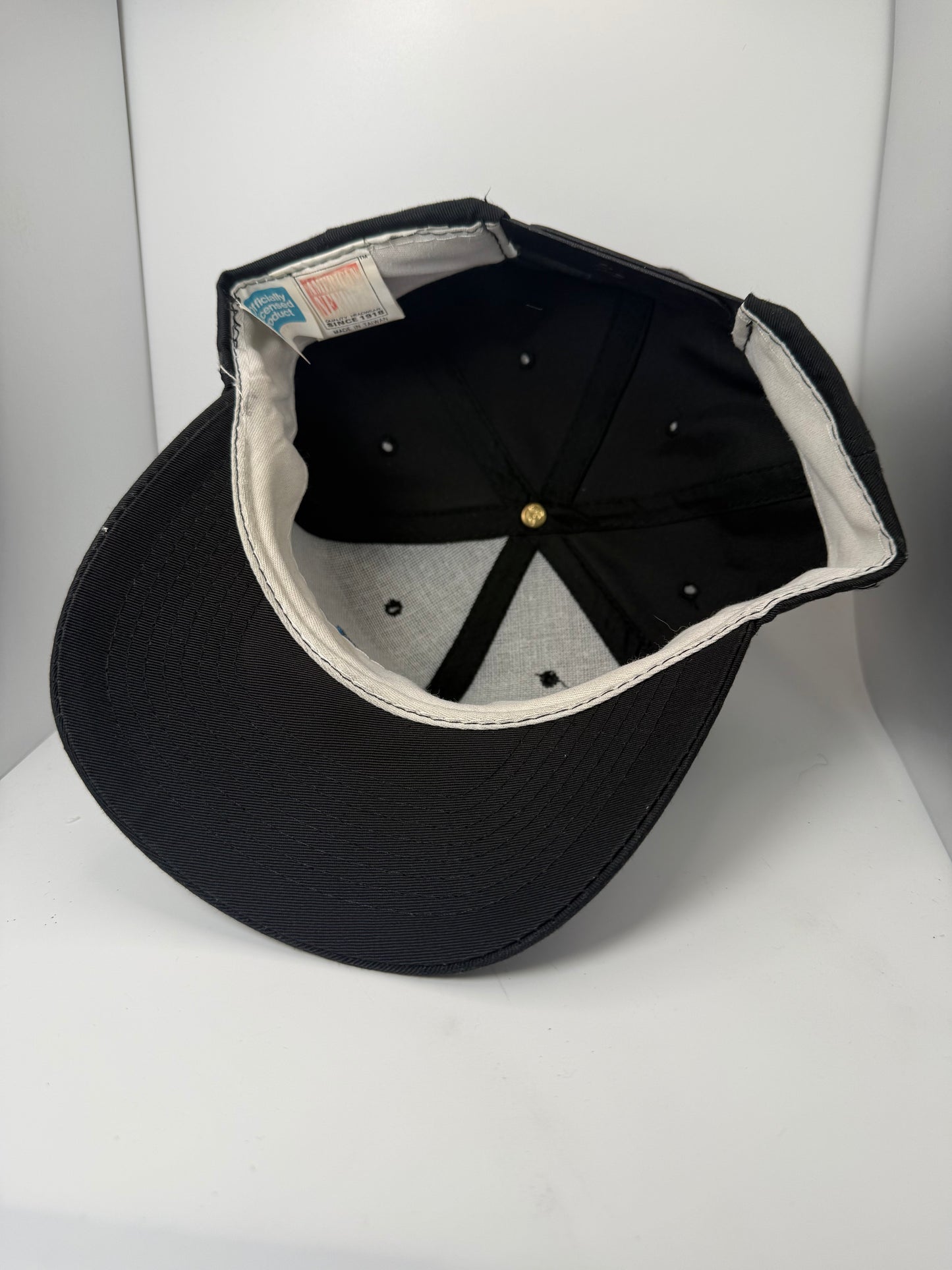 Vintage Carolina Panthers American Needle Snapback