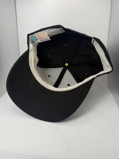 Vintage Carolina Panthers American Needle Snapback