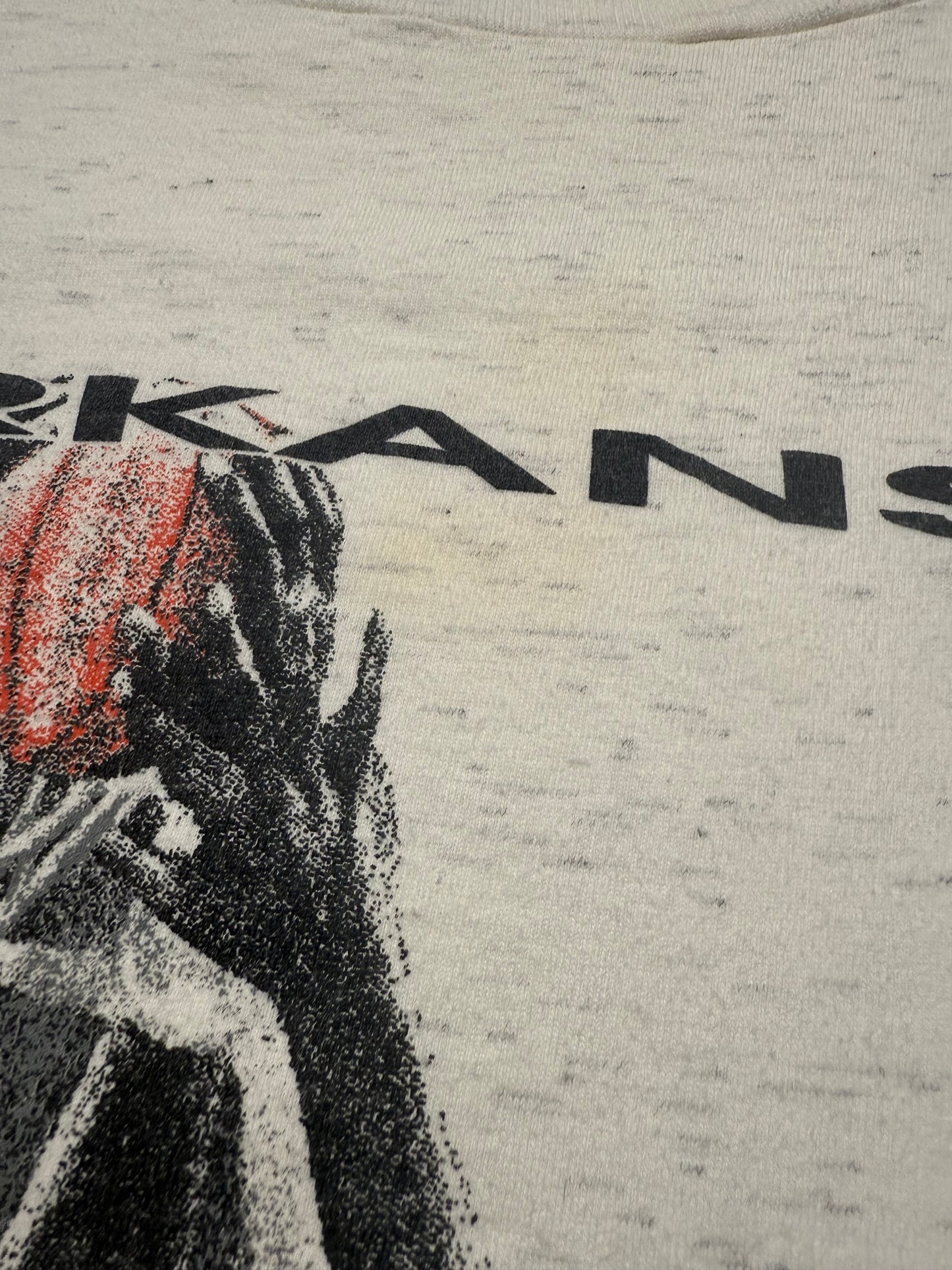 Vintage 1994 Arkansas Razorbacks Champions Snapback